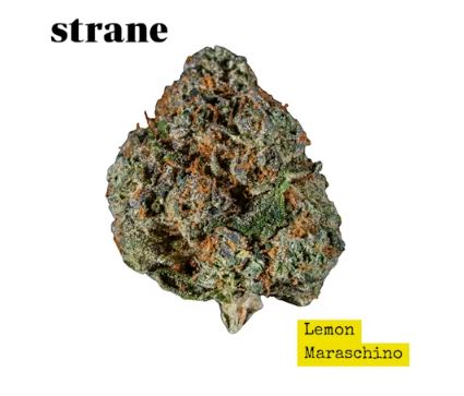 Lemon Maraschino Reserve Flower - 14g