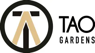 Tao Gardens: Chem Skunk OG