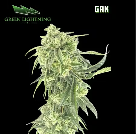 GAK | Green Lightning | 3. Flower