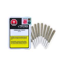 Hawaiian Punch Pre-Rolls - Sativa - 10x0.4g