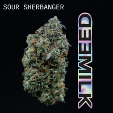 Milk Weed | Sour Sherbanger | Flower | 3.5g