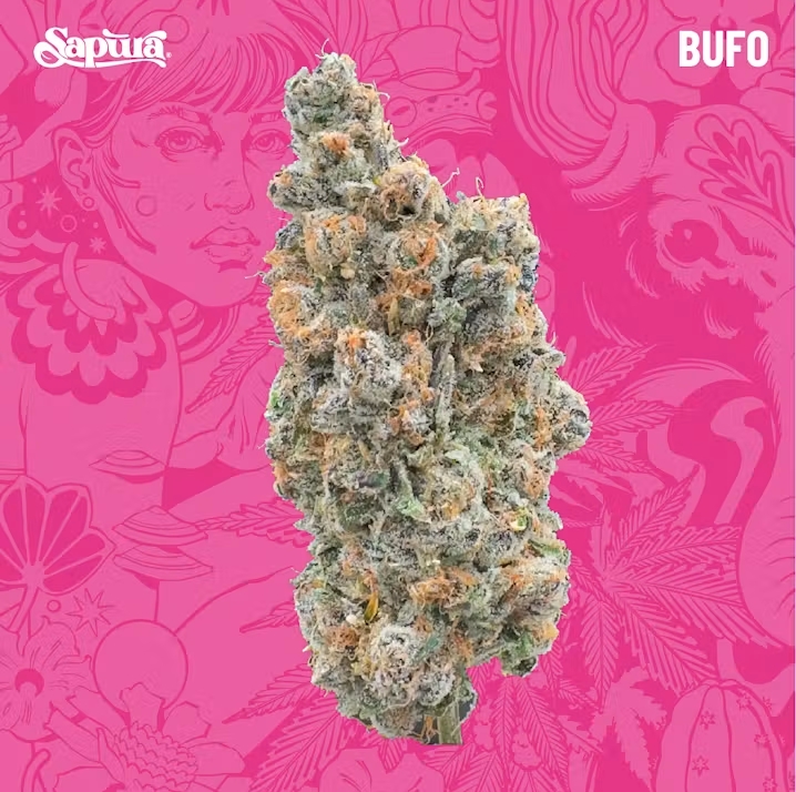 Sapura Bulk - Bufo