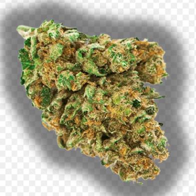 Super Silver Haze Flower