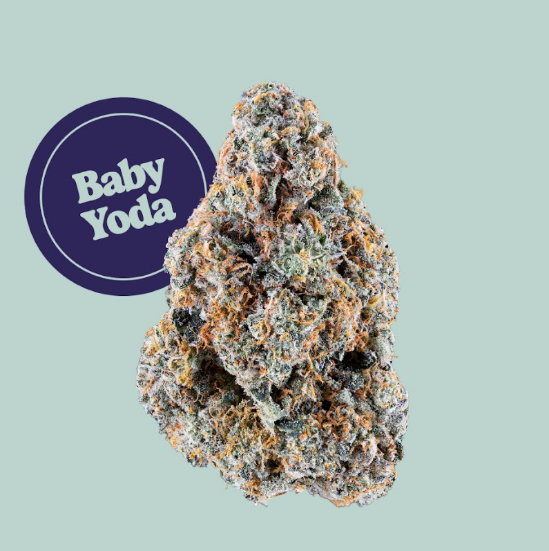 Baby Yoda | Flower Littles | 7g