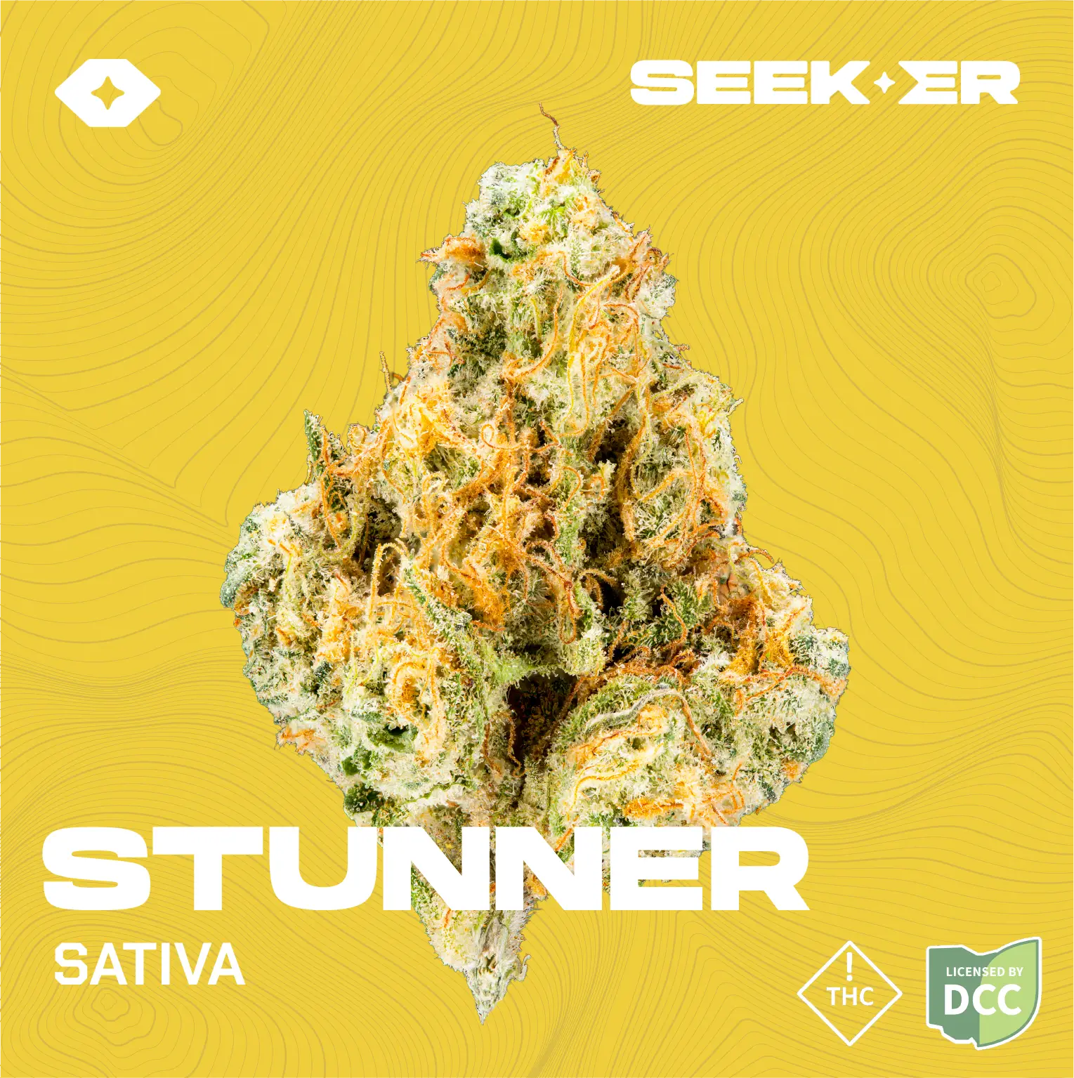 Seeker | STUNNER #4 (Buds) | 2.83g | Sativa