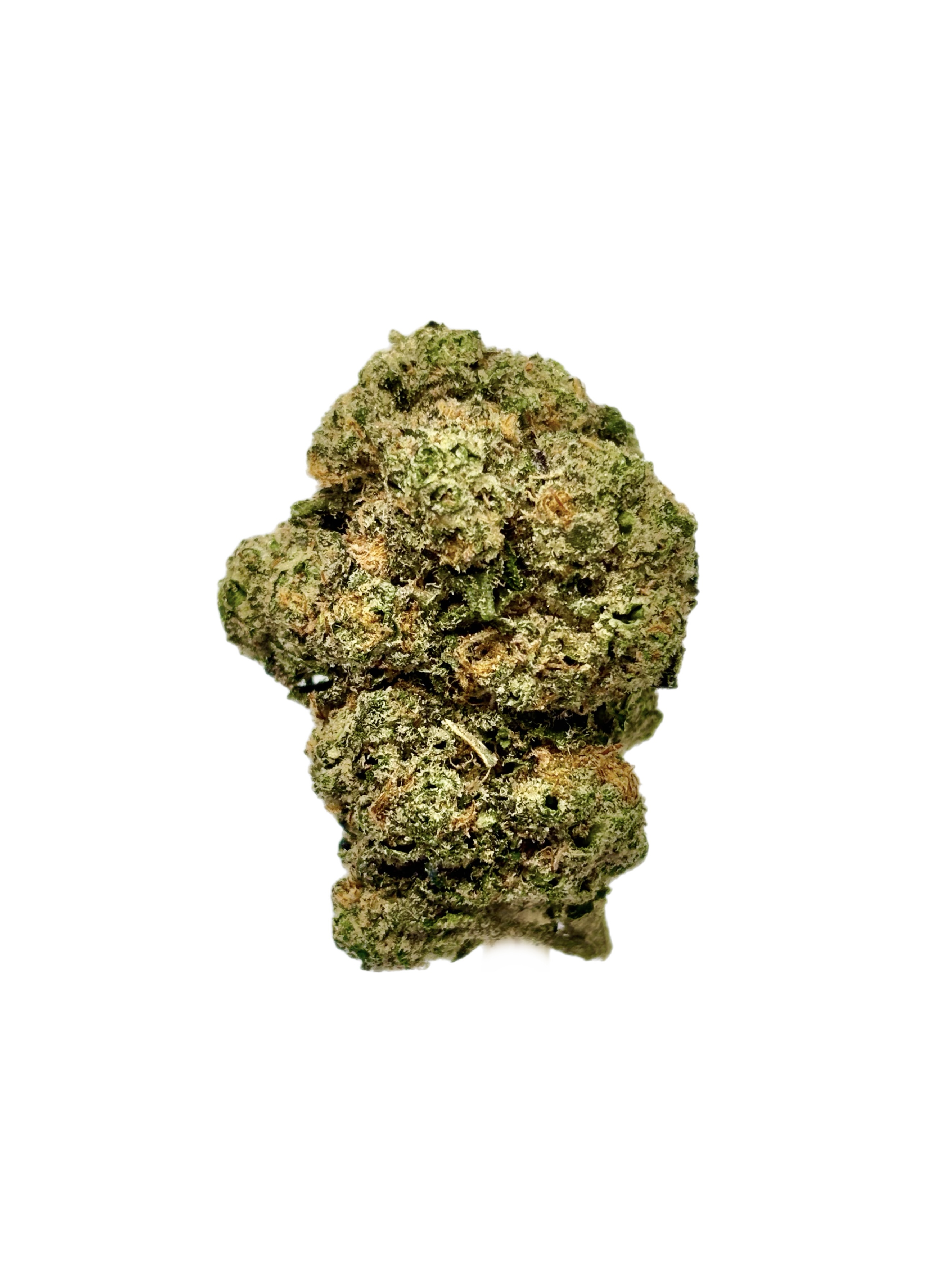 Seed Junky | Paradize Cove | Bulk Flower | Diamond Tier