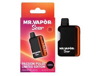 Mr. Vapor | Passion Pulse 3g Disposable