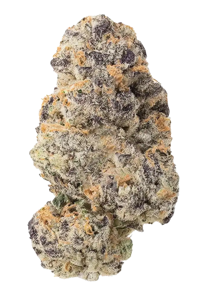 D-Lish (H) 7G