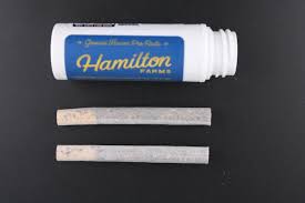Hamilton Farms 2pk | Apple Jelly | 1g (Indica)