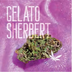 Grasshopper Gelato Sherbet