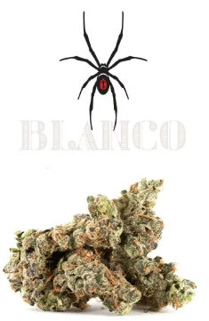 Cookies Blanco