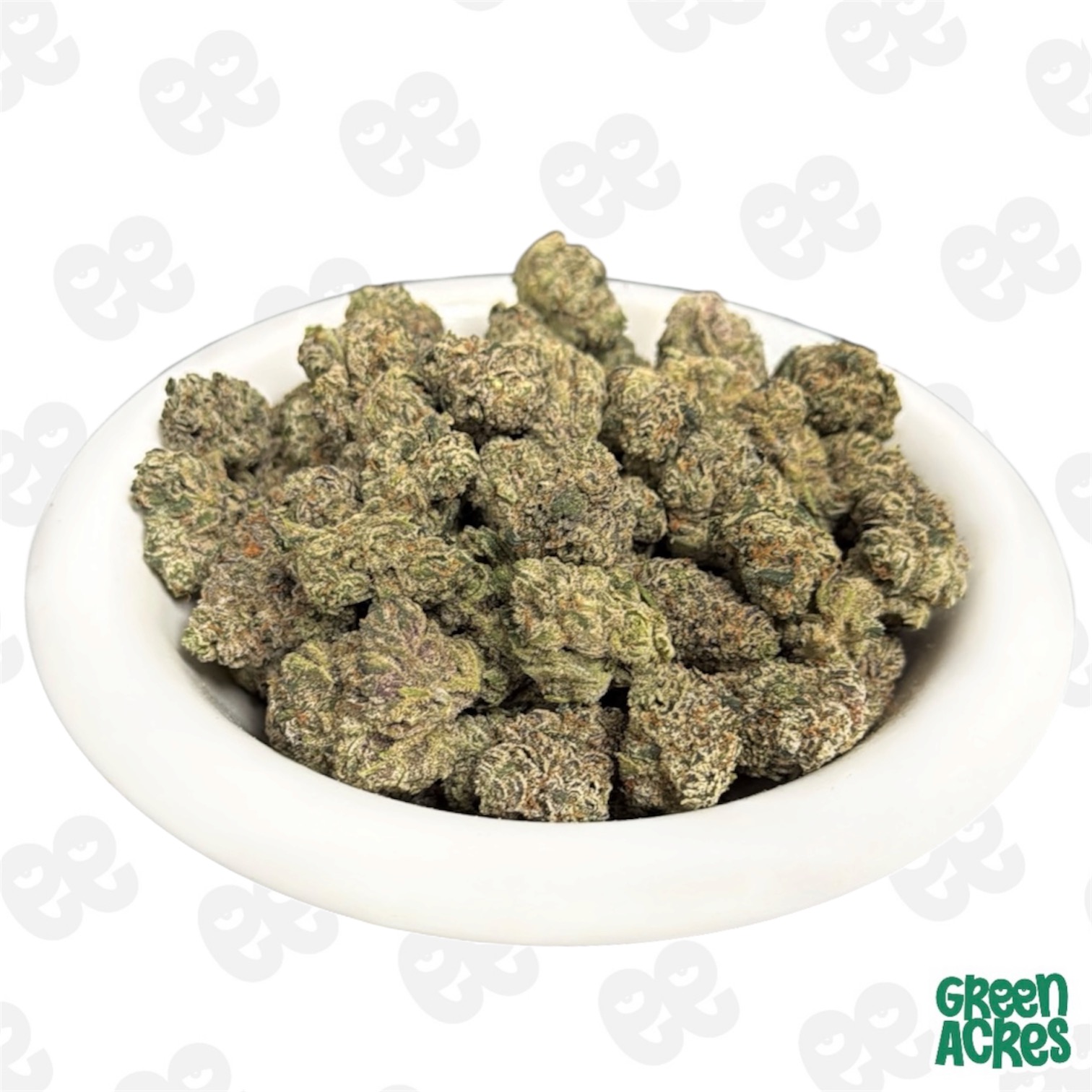 (R) Minntz: Zandy (H)