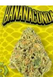 PrimoDank - Bananaconda Bulk Flower