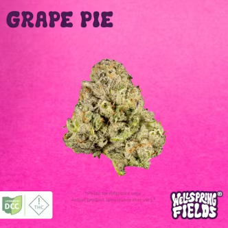 Grape Pie | 2.83g Indica