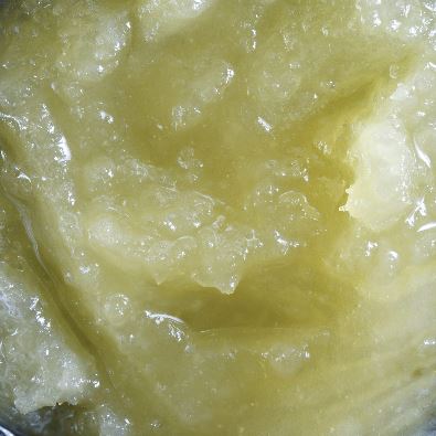 Concentrate | Rosin | Wojo Runtz | 1g | Wojo Co