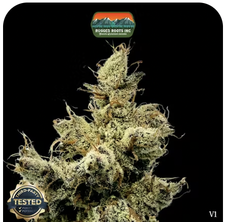 RuggedRoots - Barf Breath - 1g - I