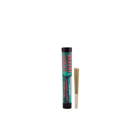 Revert | Strawberry Amnesia Haze | Sativa | Pre-roll | 0.5g
