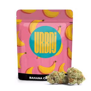Banana Cream Pop | Bulk Flower