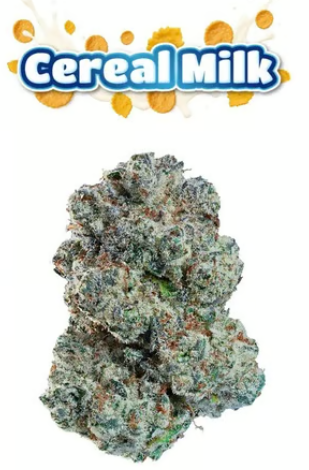 Oakfruitland - Cereal Milk (Hybrid) Flower