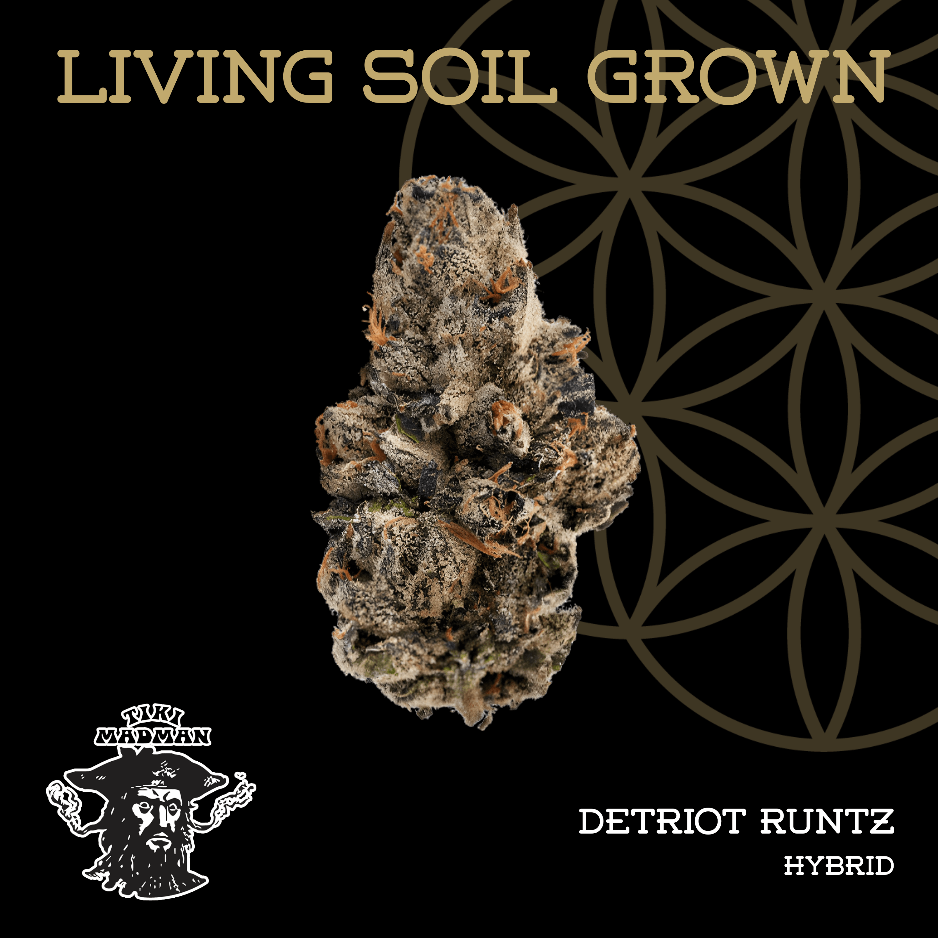 Detroit Runtz | Bulk Deli | Living Soil