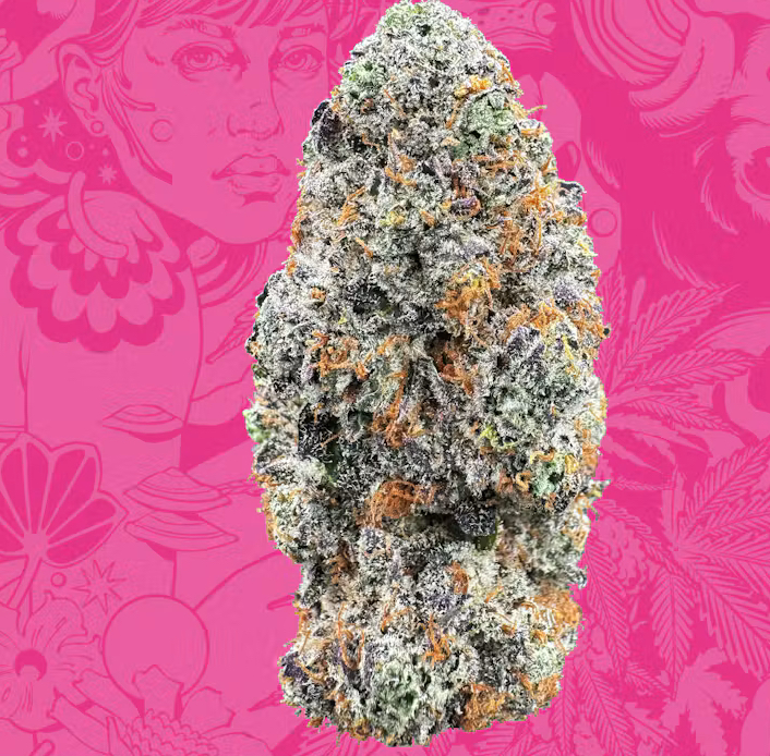 Sapura Bulk - Pink Breath - Indica
