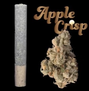 Apple Crisp - Cannon - Nimbus