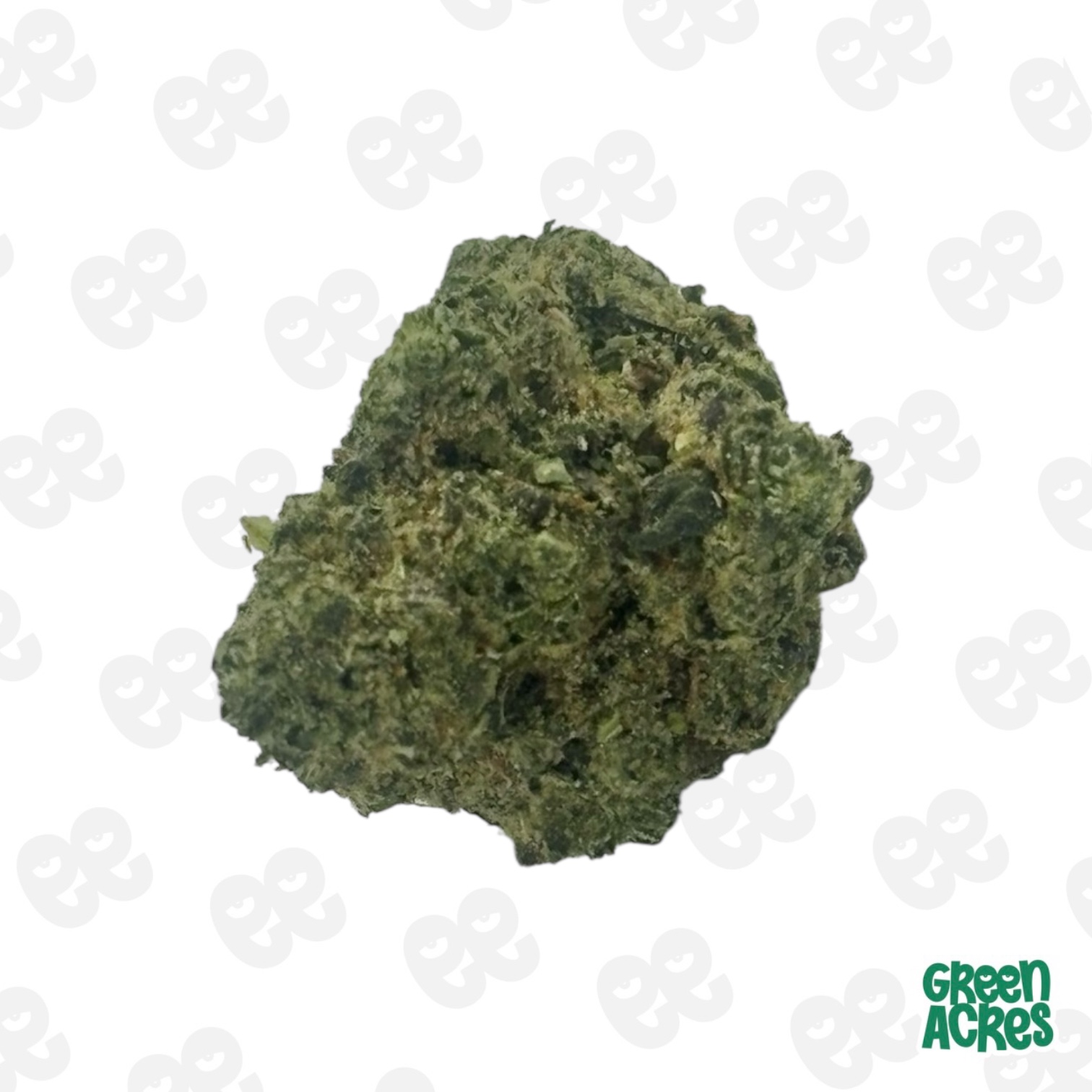 Iced Animal Cookies Smalls