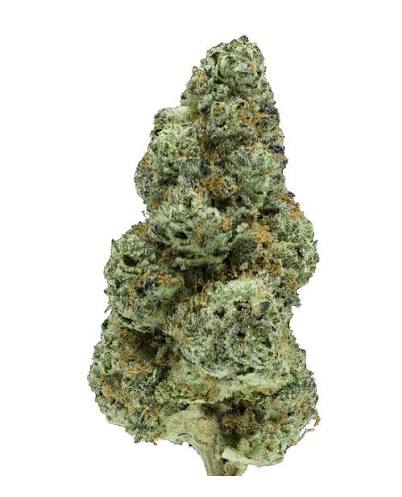 Mule Fuel Flower