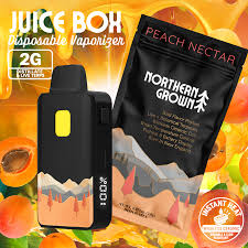 Peach Nectar Juice