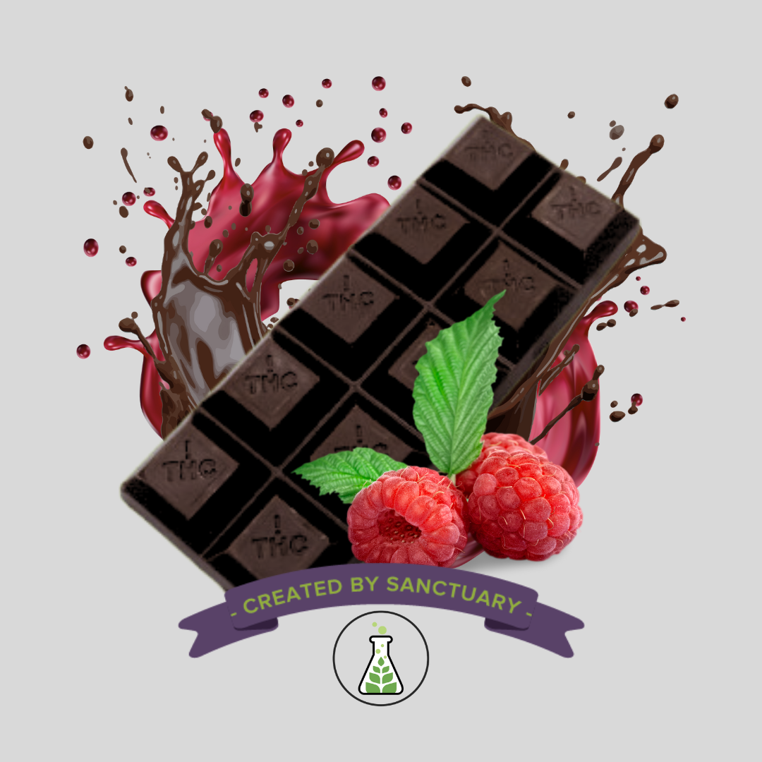 Quickies | Raspberry Dark Chocolate Bar | 100mg