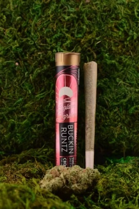 Buckin Runtz | Pre Roll | 1g