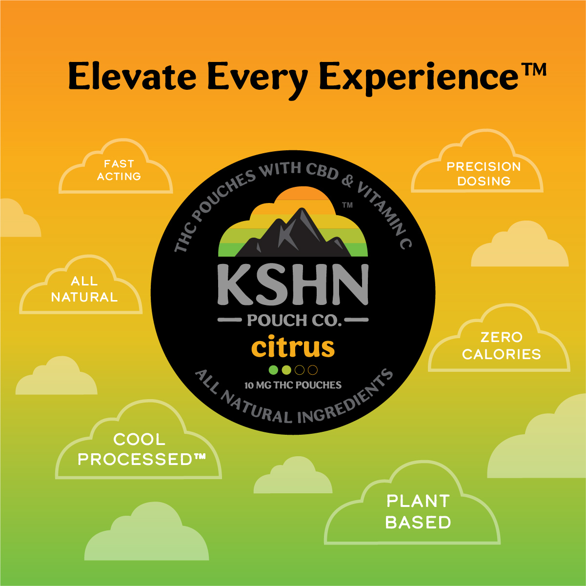 Citrus | KSHN THC Pouch | 200mg