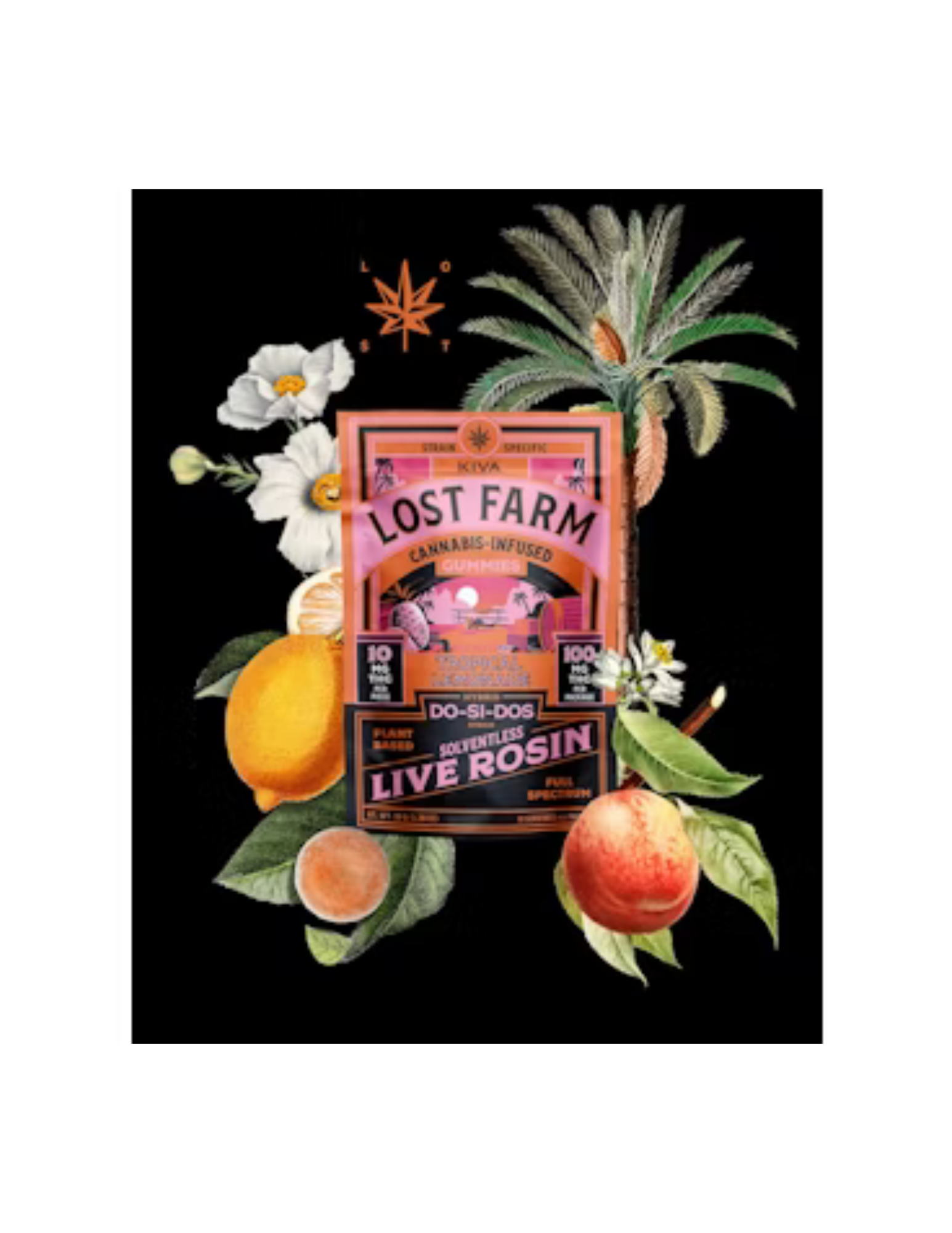 Gummies | Live Rosin | Tropical Lemonade | 200mg | Lost Farm