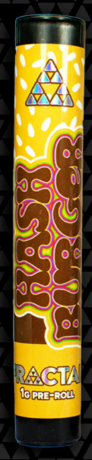 Fractal Cannabis - Z33 - 1g Preroll