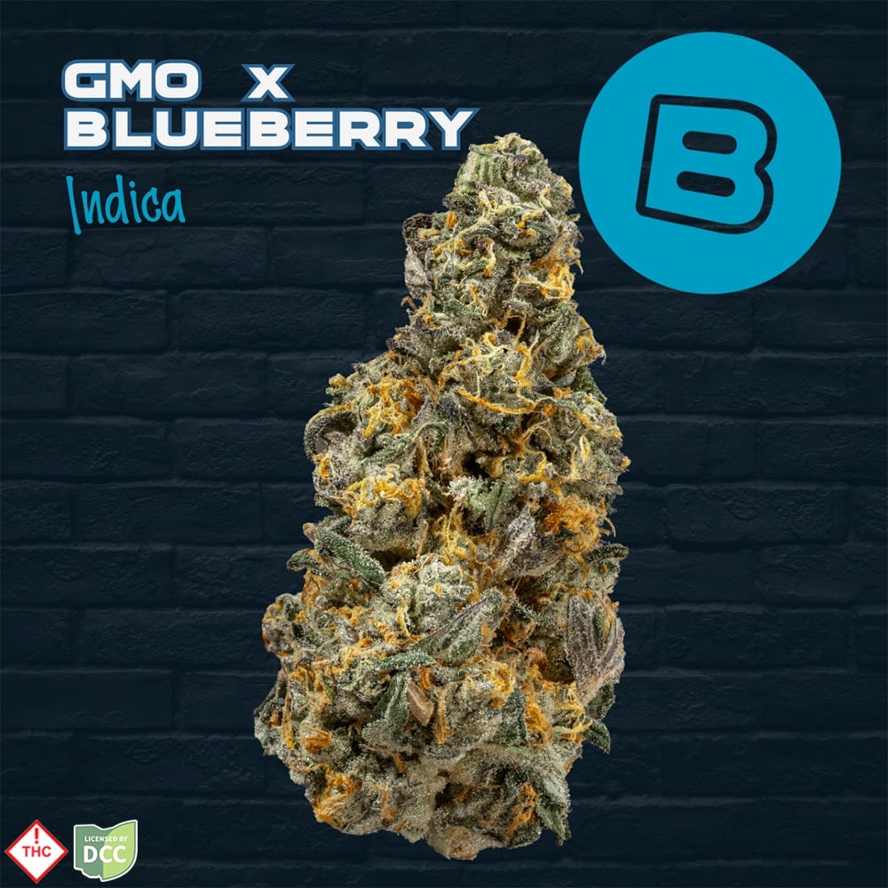 GMO x Blueberry  - Indica Flower - 3.5g