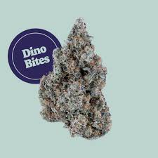 Flower | Dino Bites | Indica - 3.5g