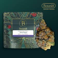 Botanist | Velvet Ropes | Flower | 3.5g by Botanist - flower cannabis product
