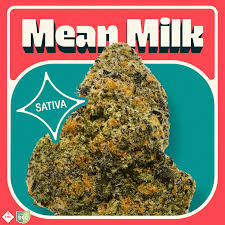Mean Milk | I