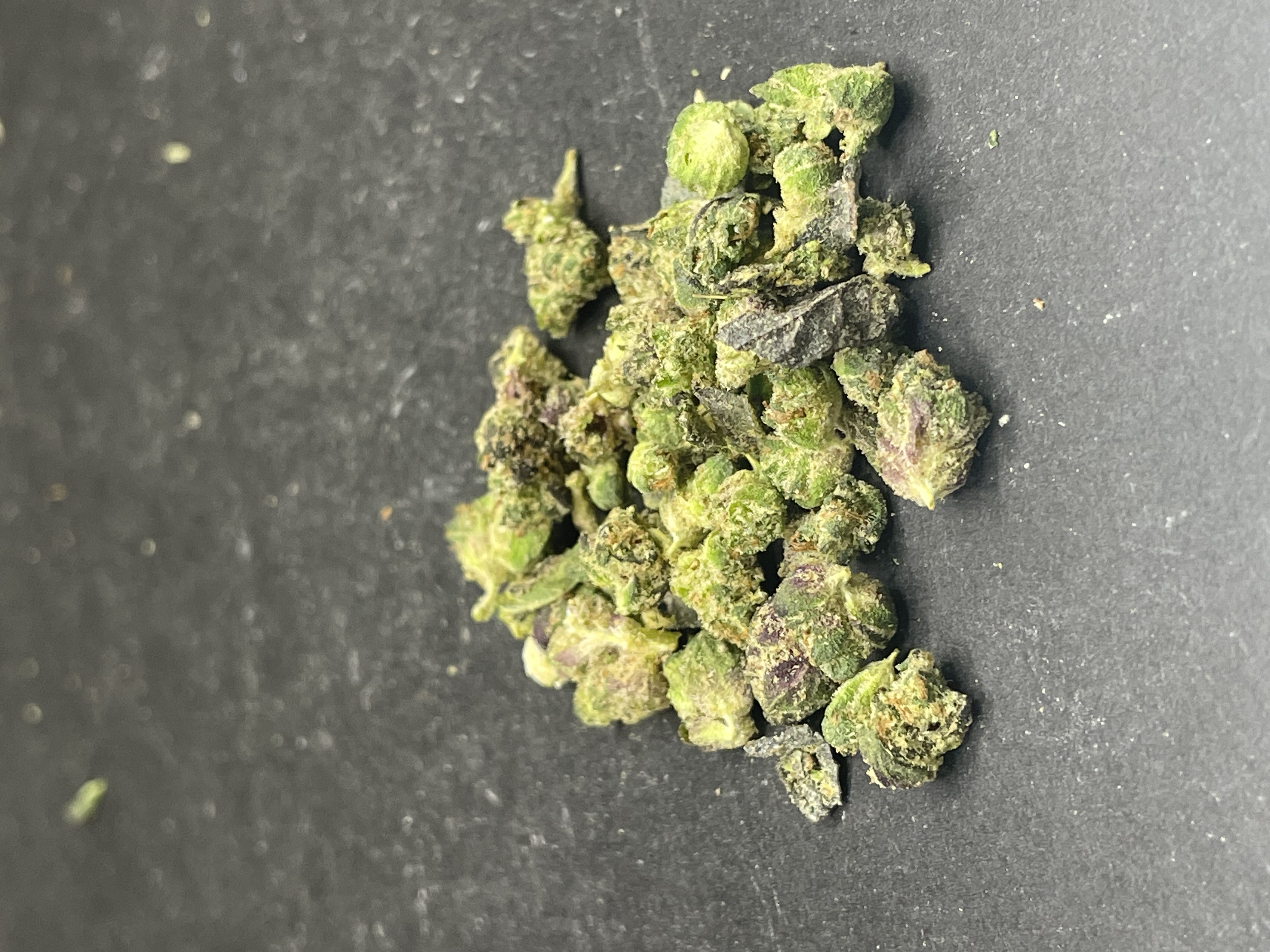 Gas Light Tinies shake from bud