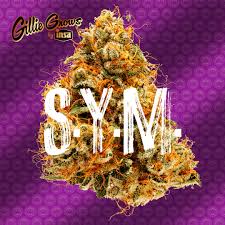 Ym