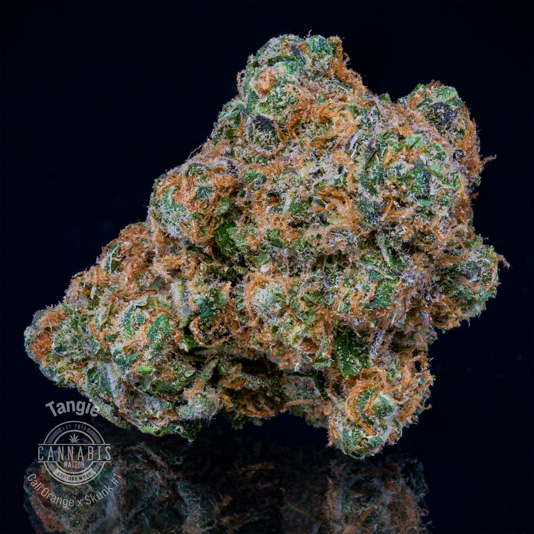 Tangie