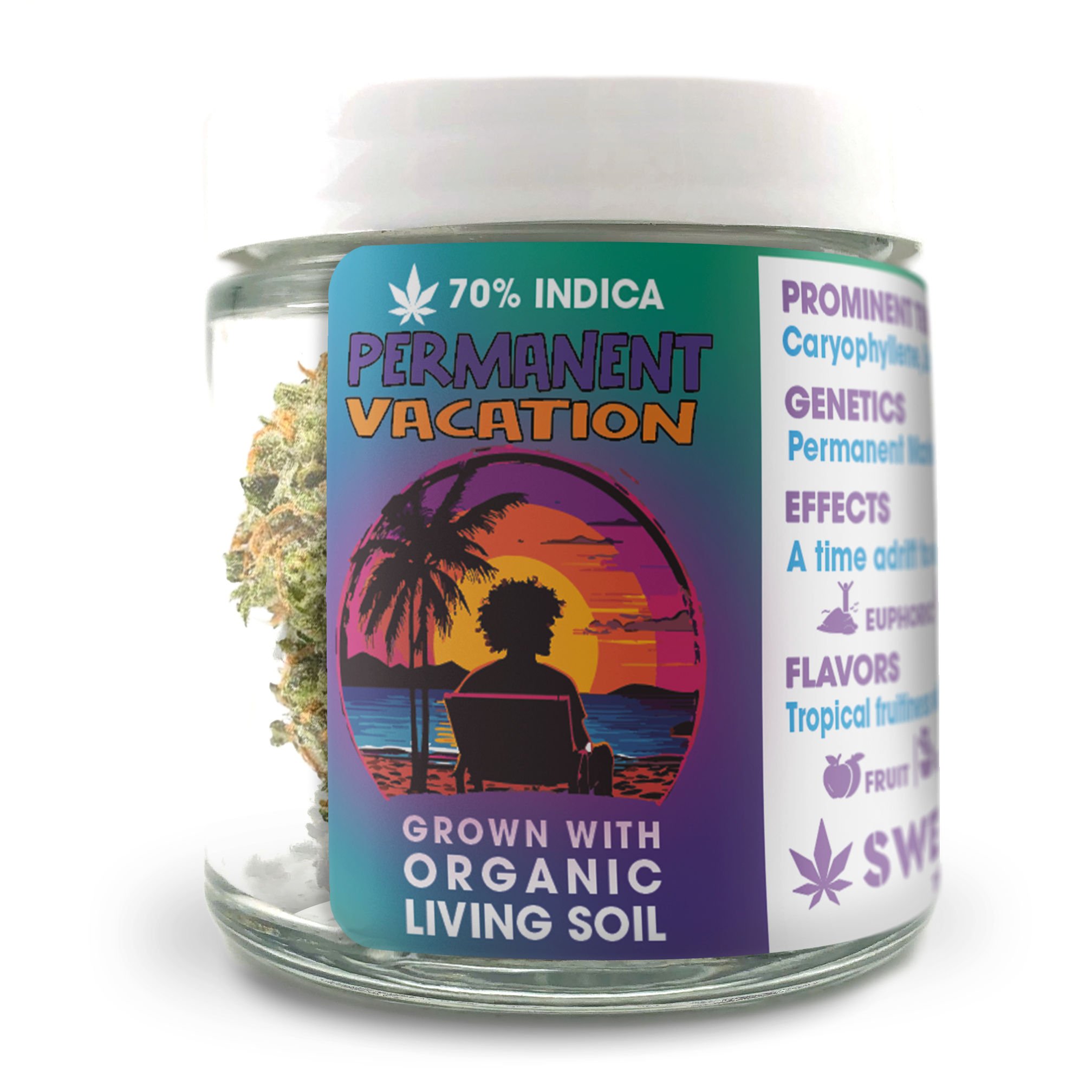 Permanent Vacation (DOH)