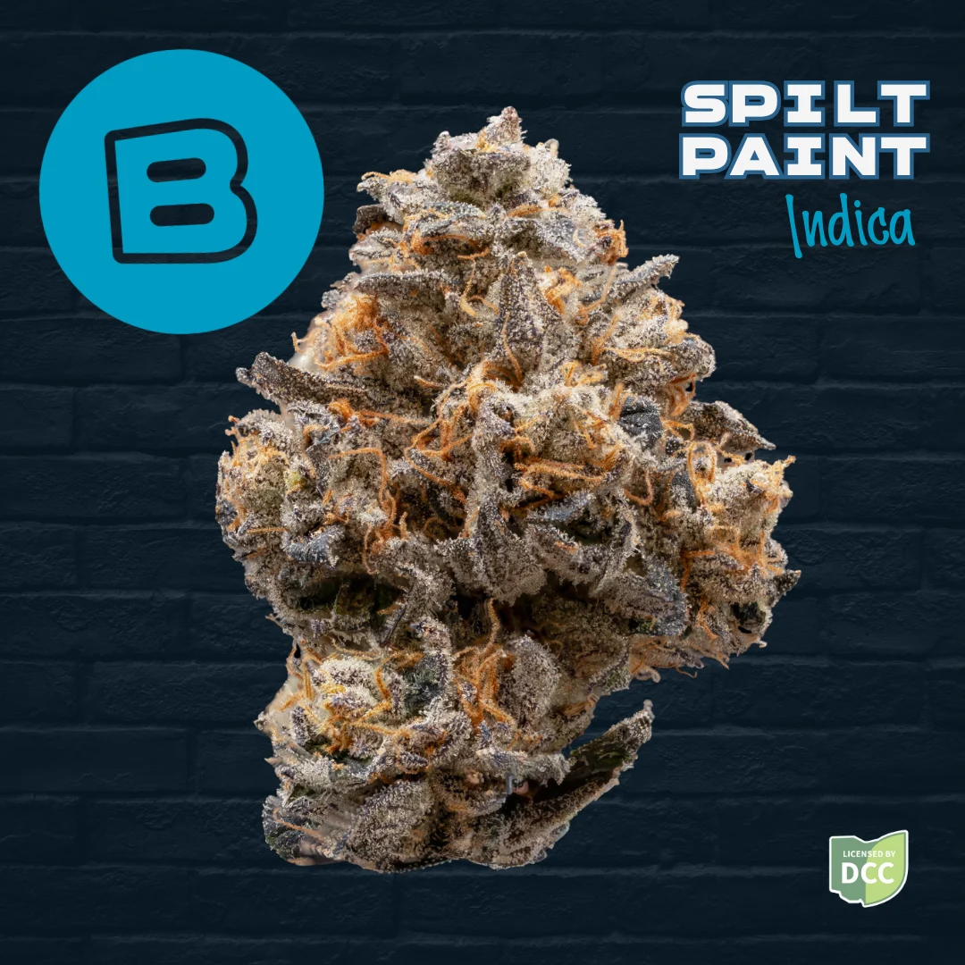 Spilt Paint - Indica Flower - 3.5g