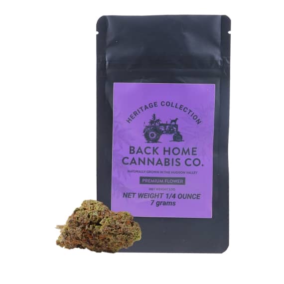 Back Home Farms - Northern Lights - Flower