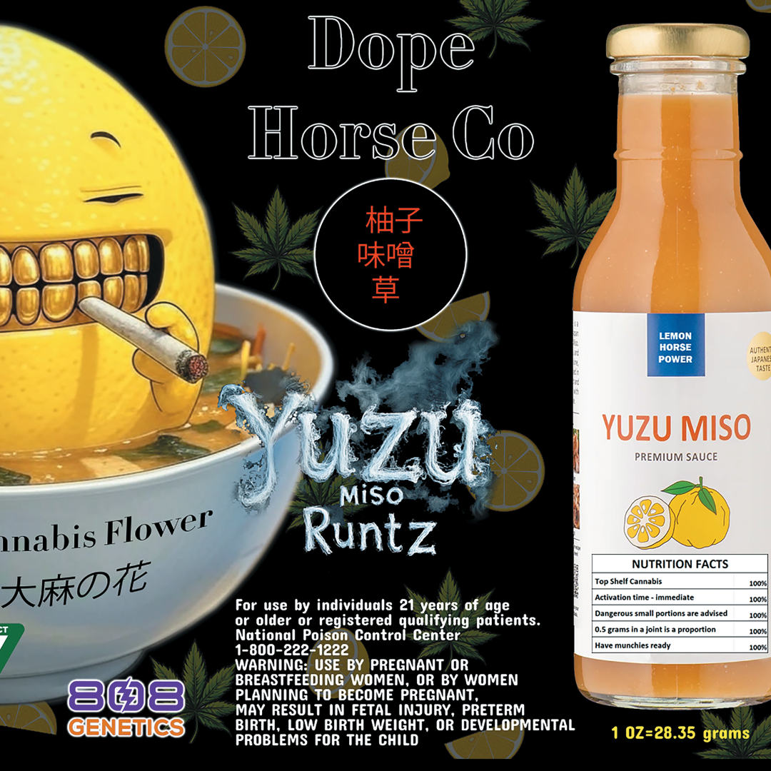 Dope Horse Co - Prepack 28G Jar - Yuzu Miso Runtz