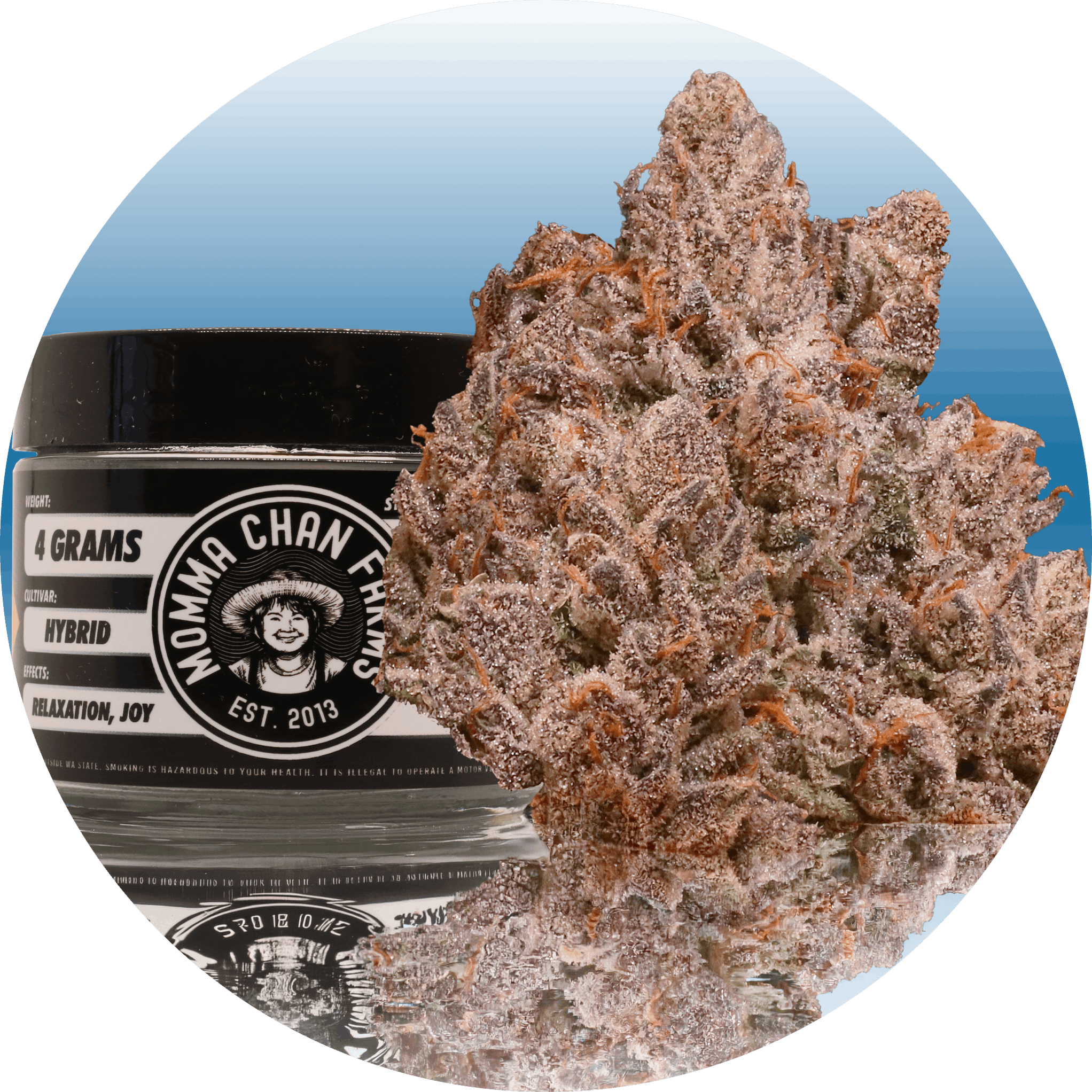 Momma Chan Bling Blaow (Hybrid)  4g