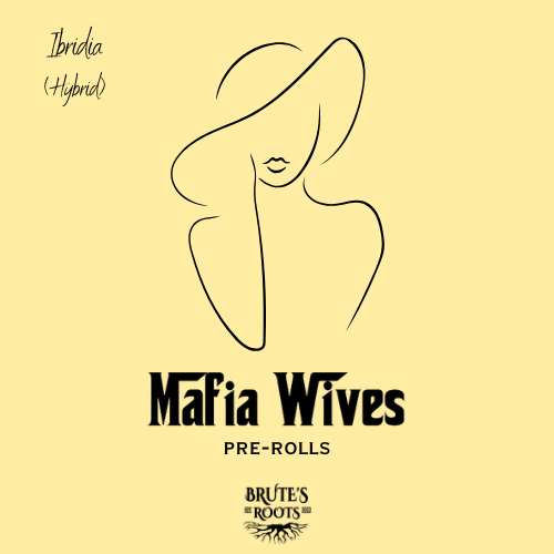 Ibridia - Mafia Wives - 5 Pack Prerolls - REC