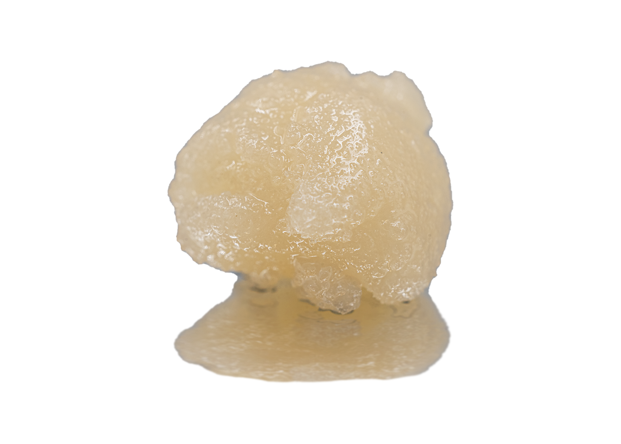 OG Specimen 600 | Sugar | 1g