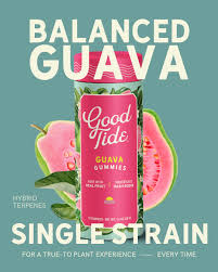 Balanced Guava