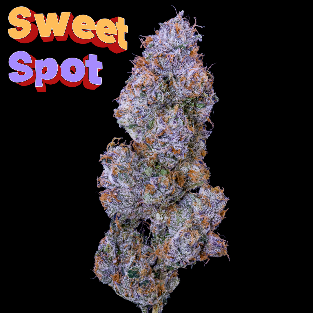 Sweet Spot Faded